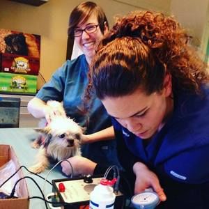 Meet your Posher, Angela